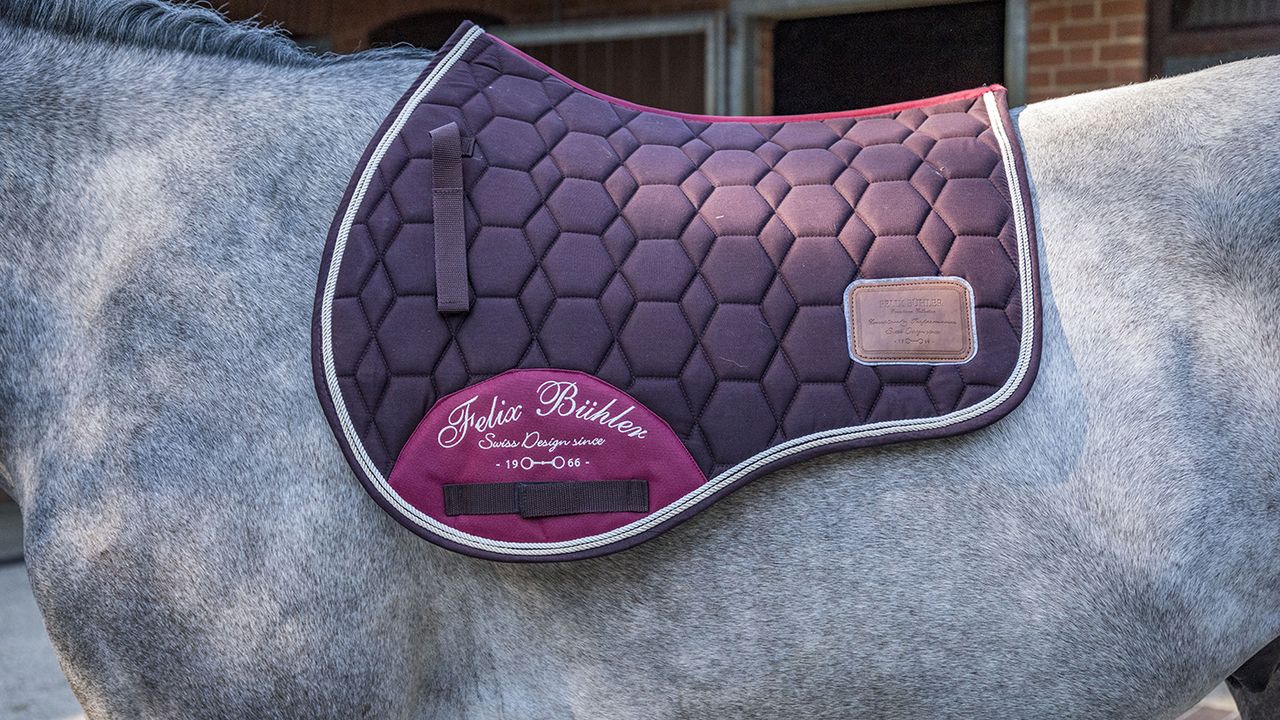 Felix B&uuml;hler Breeze Pro saddle pad review
