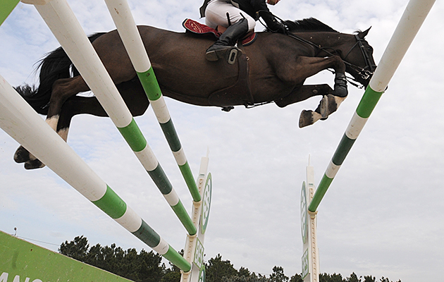 Horse and Hound festival of showjumping entries