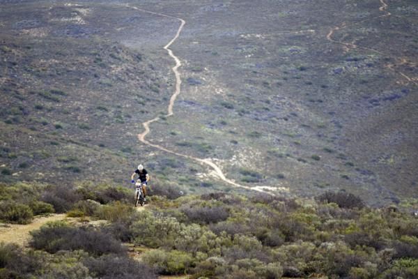 Henry Van Heerden of Where's Marley