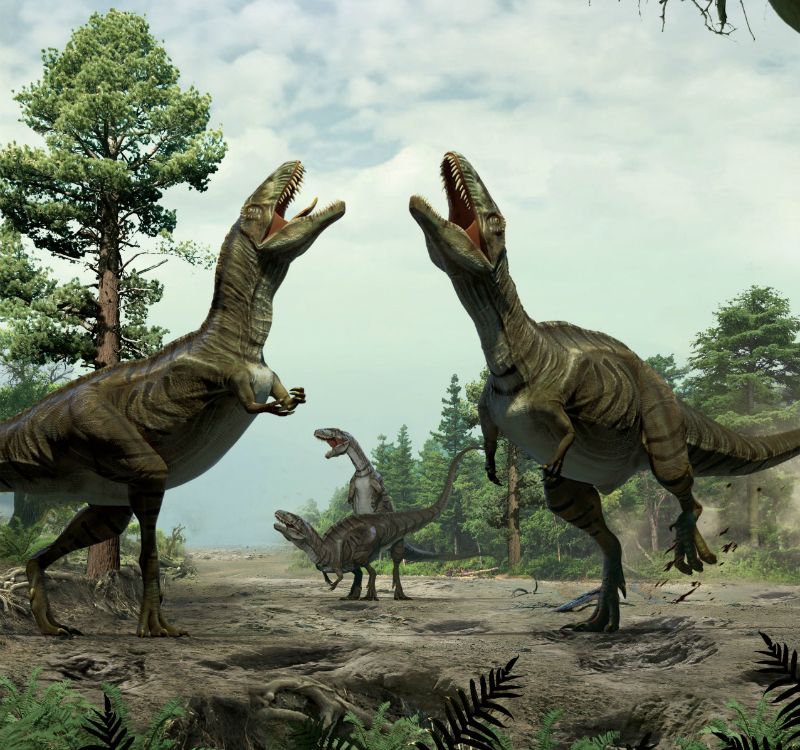 What Sounds Did Dinosaurs Make? - The New York Times