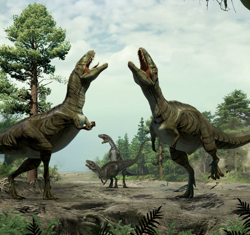 How Did Dinosaurs Communicate Live Science