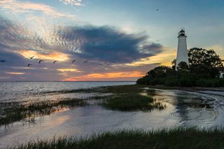 st marks national wildlife refuge, bird migrations, lighthouses, great florida birding trail