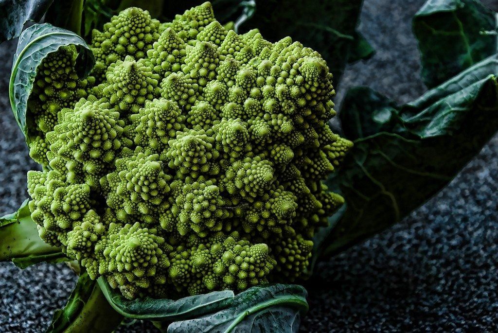 Romanesco Broccoli Plant