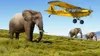 Microsoft Flight Simulator (2020)