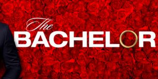 the bachelor roses logo