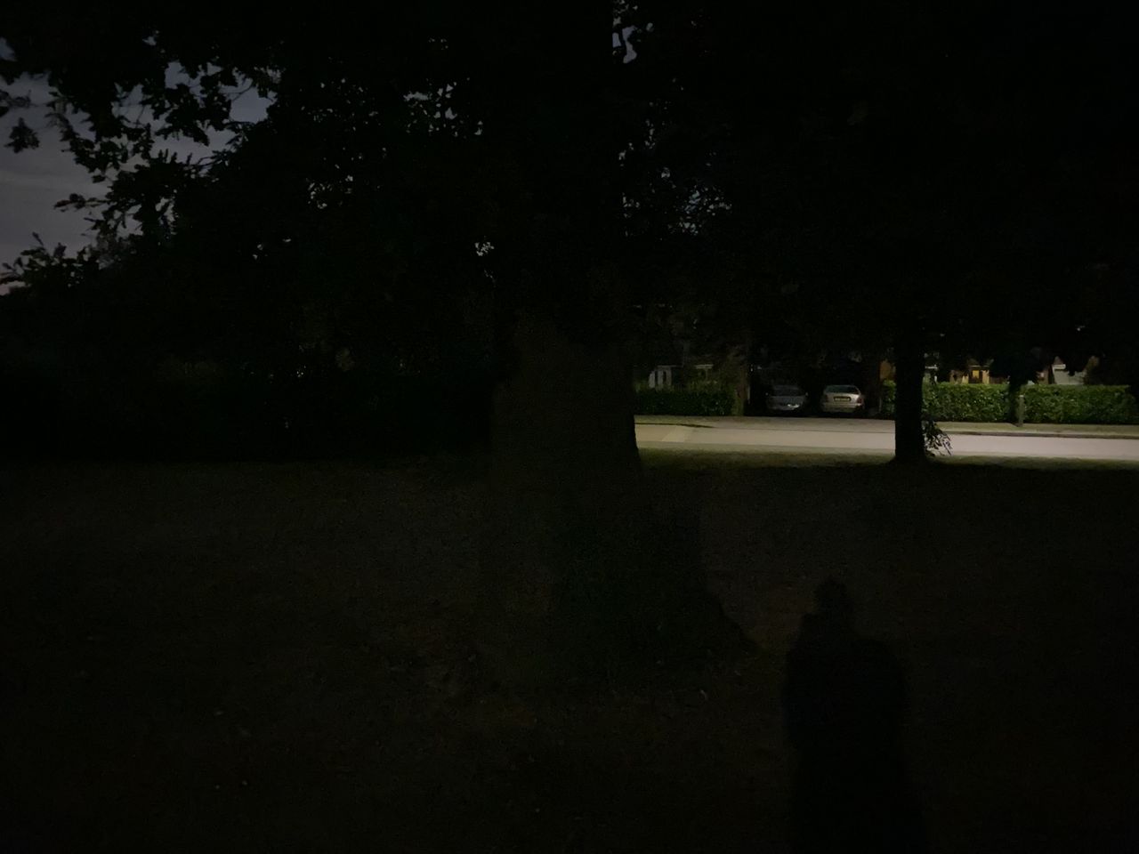 iPhone 11 camera
