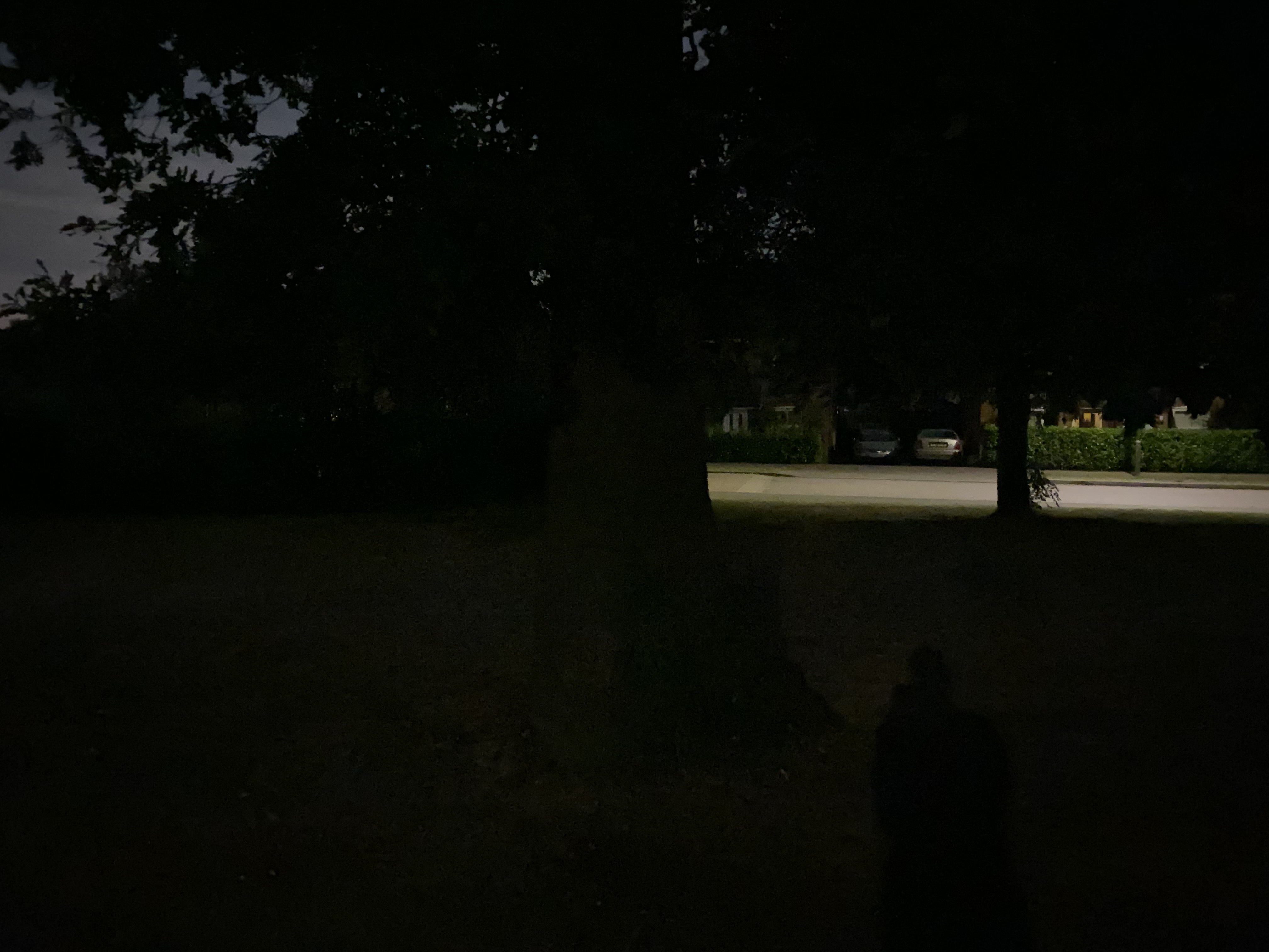iPhone 11 camera