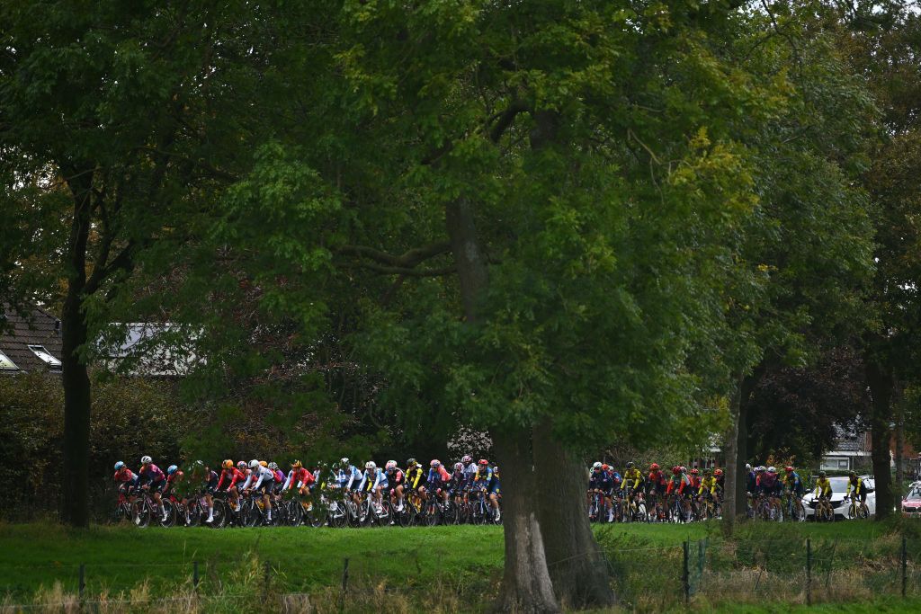 EDE NETHERLANDS OCTOBER 11 A general view of the peloton passing through a landscape during the 26th Simac Ladies Tour 2024 Stage 4 a 1182km stage from Ede to Ede UCIWWT on October 11 2024 in Ede Netherlands Photo by Luc ClaessenGetty Images