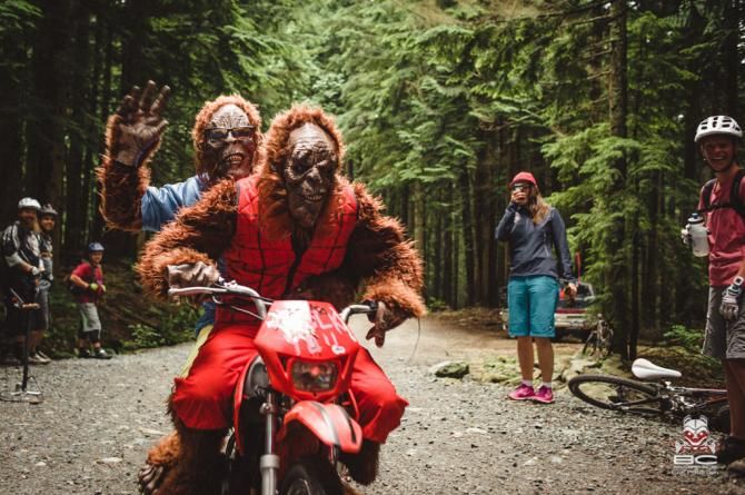 Sasquatch team.