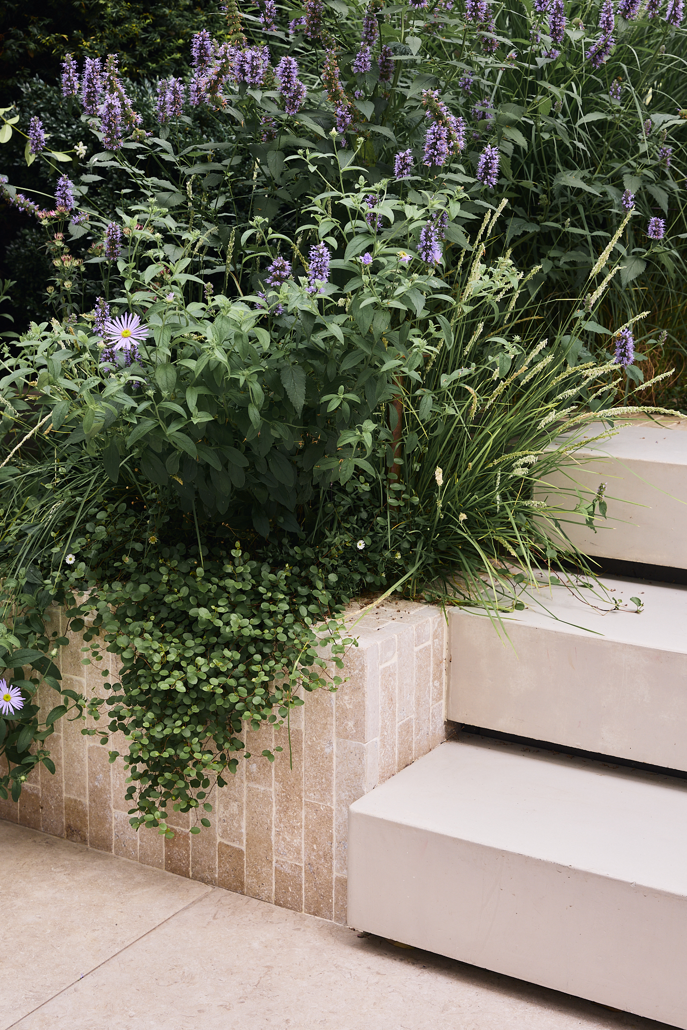 a modern garden with lush planting, purple flowers, and sculptural landscaping
