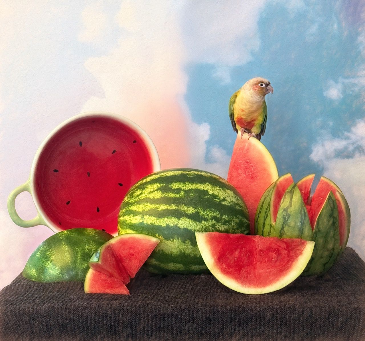 Still-life photo against a blue sky/clouds backdrop. Chunks of watermelon sit on a table, with a large mug with a watermelon-pattern. A parrot with similar coloring sits on a watermelon