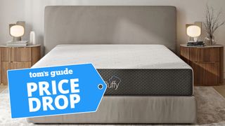 Puffy Mattress shown in bedroom