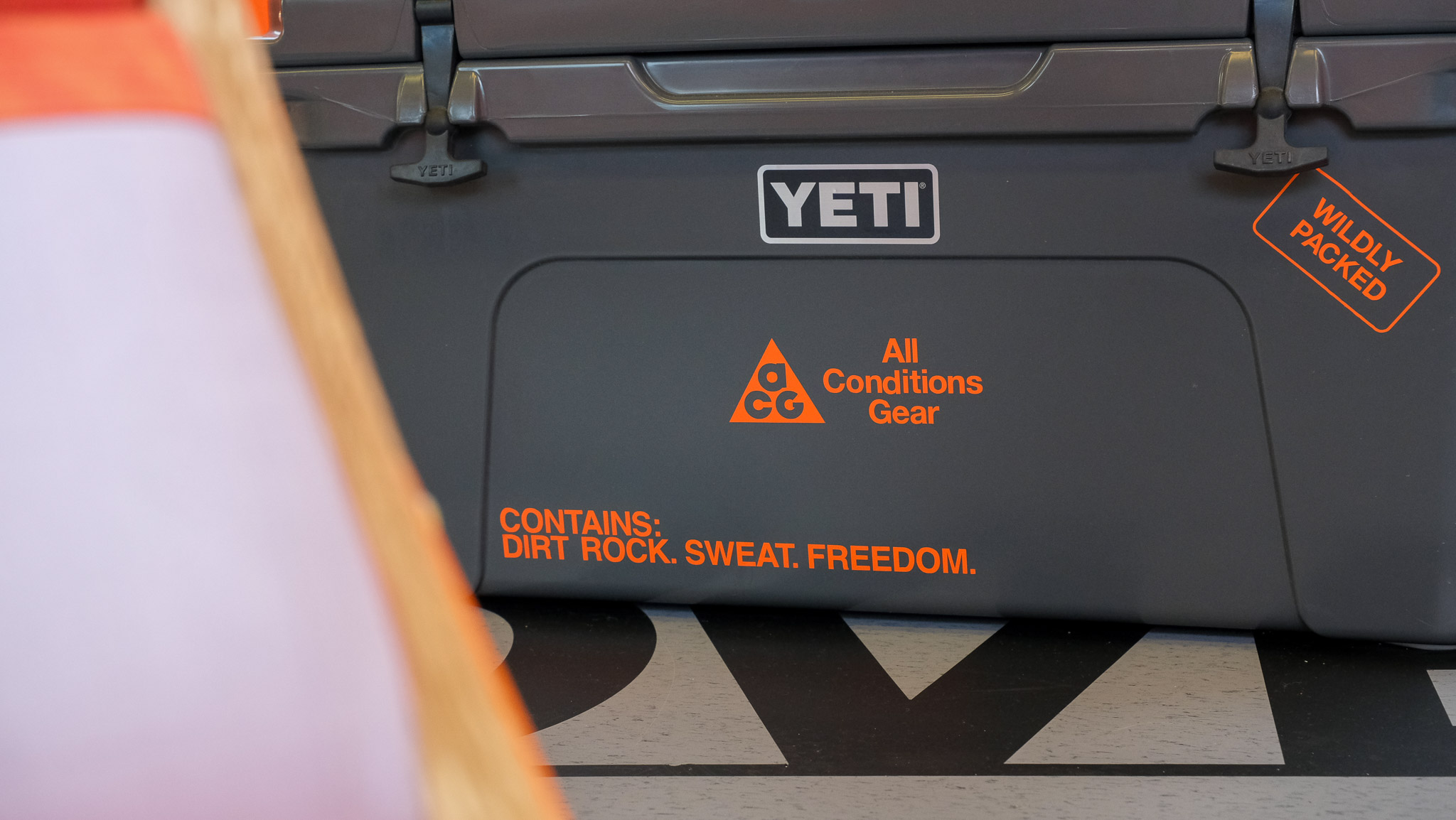 Nike All Conditions Express