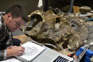 Caleb Brown drawing the skull of Regaliceratops peterhewsi, better known as "hellboy," a new species of horned dinosaur.