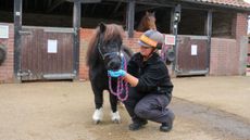 Marjorie-the-pony-and-Nursing-Manager-Lou-Gedge-at-Redwings-in-November-2024.jpg