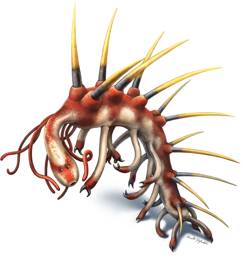 The <em>Hallucigenia sparsa</em> worm had quite a grin — a circular mouth lined with needlelike teeth. More teeth lined the inside of its mouth and throat, researchers found.