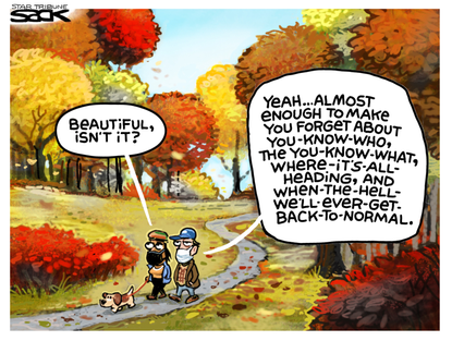 Editorial&nbsp;Cartoon U.S. Autumn Fall 2020 Election Distraction