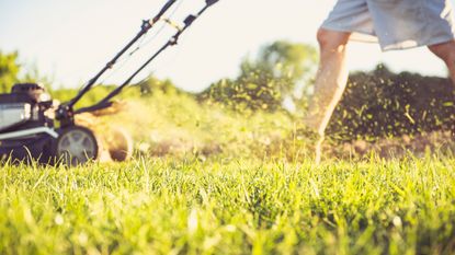 Low section of man mowing grassy field in yard against sky during sunset