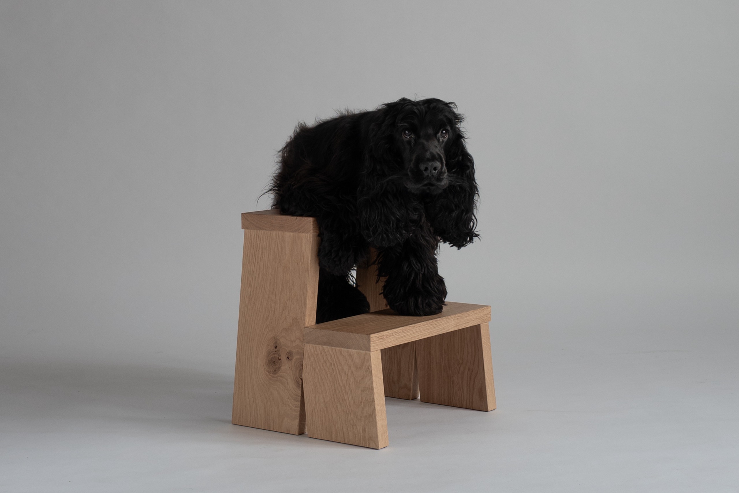 Tebian furniture