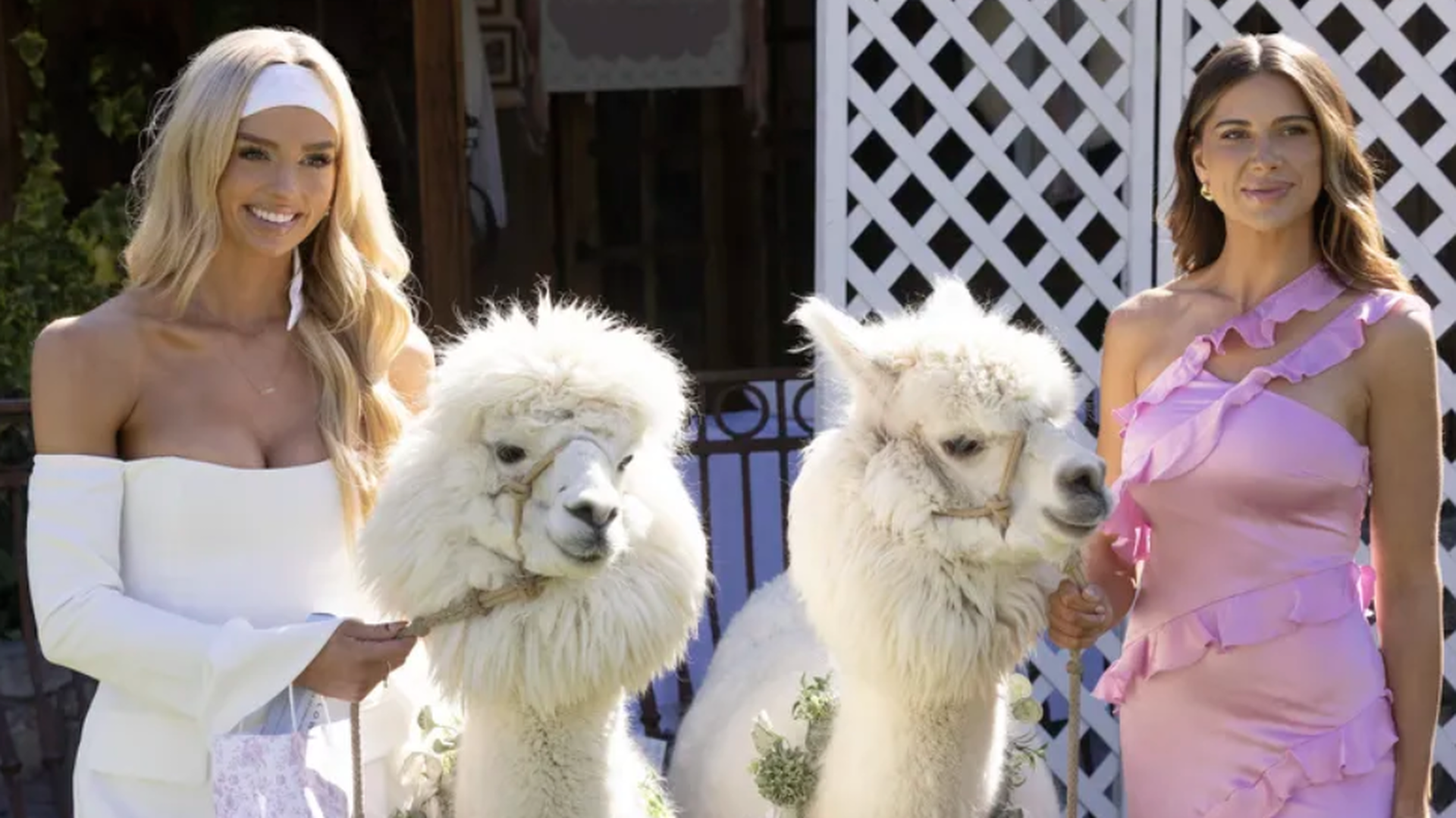Miranda McWhorter and Demi Engemann flanking a pair of white alpacas in The Secret Lives of Mormon Wives season 3