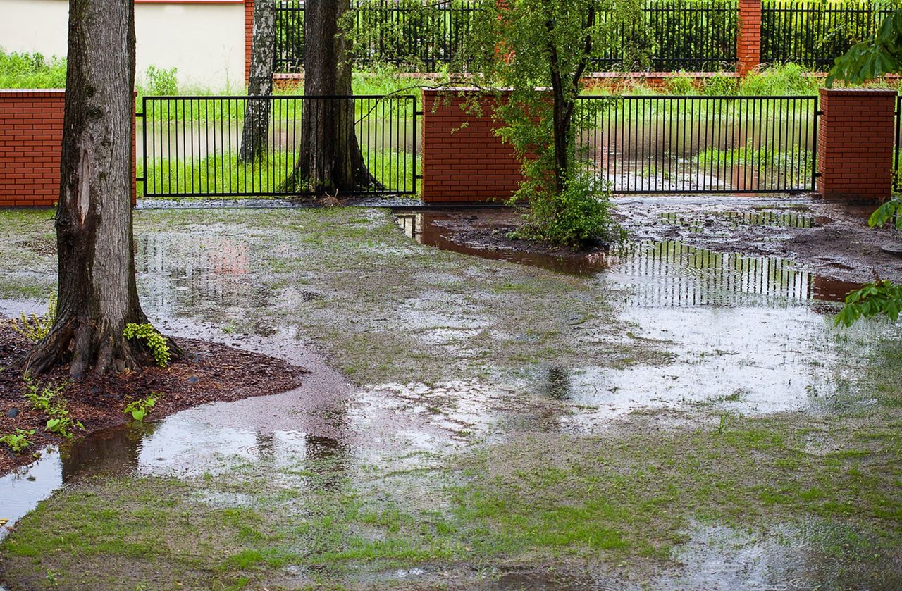 Flooded Garden