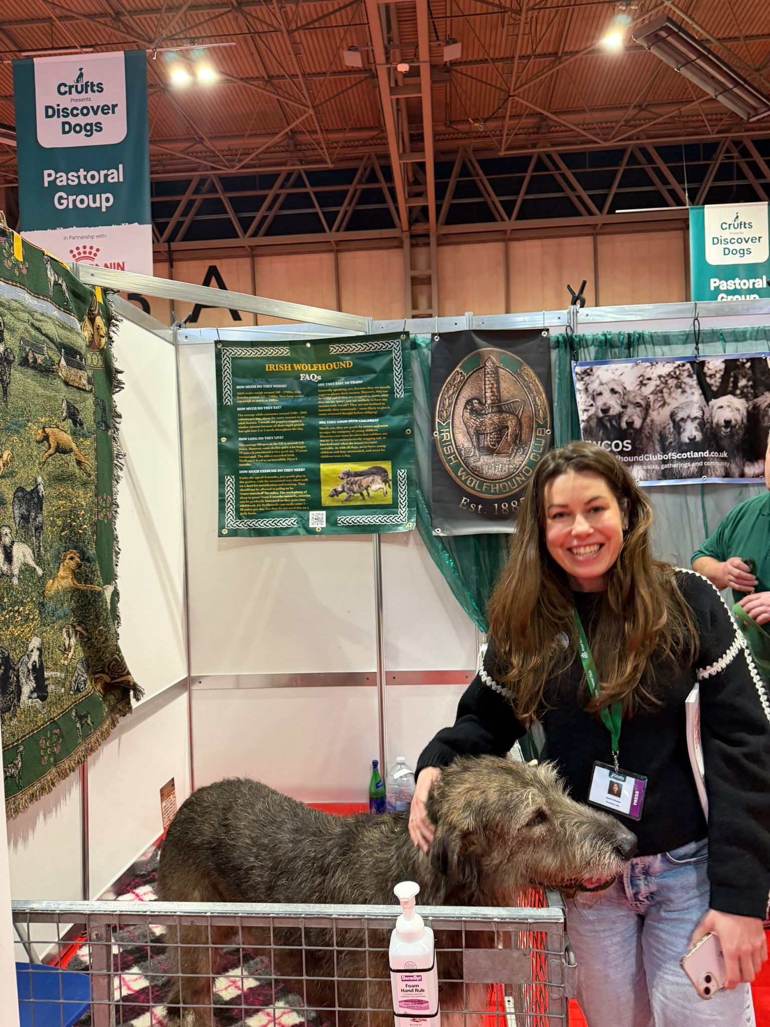 Caspar the Irish wolfhound