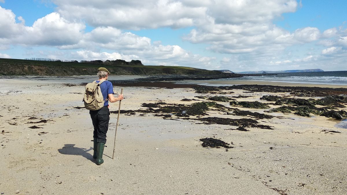 The Roseland Peninsula: Jasper hiking along the beach