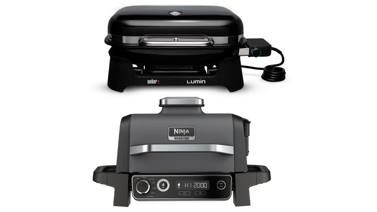 Weber Lumin Compact Vs Ninja Woodfire: Which Is The Best Electric BBQ ...