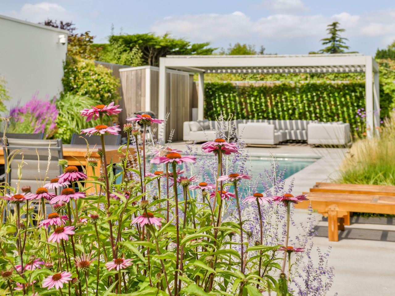 pool with furniture and coneflowers 