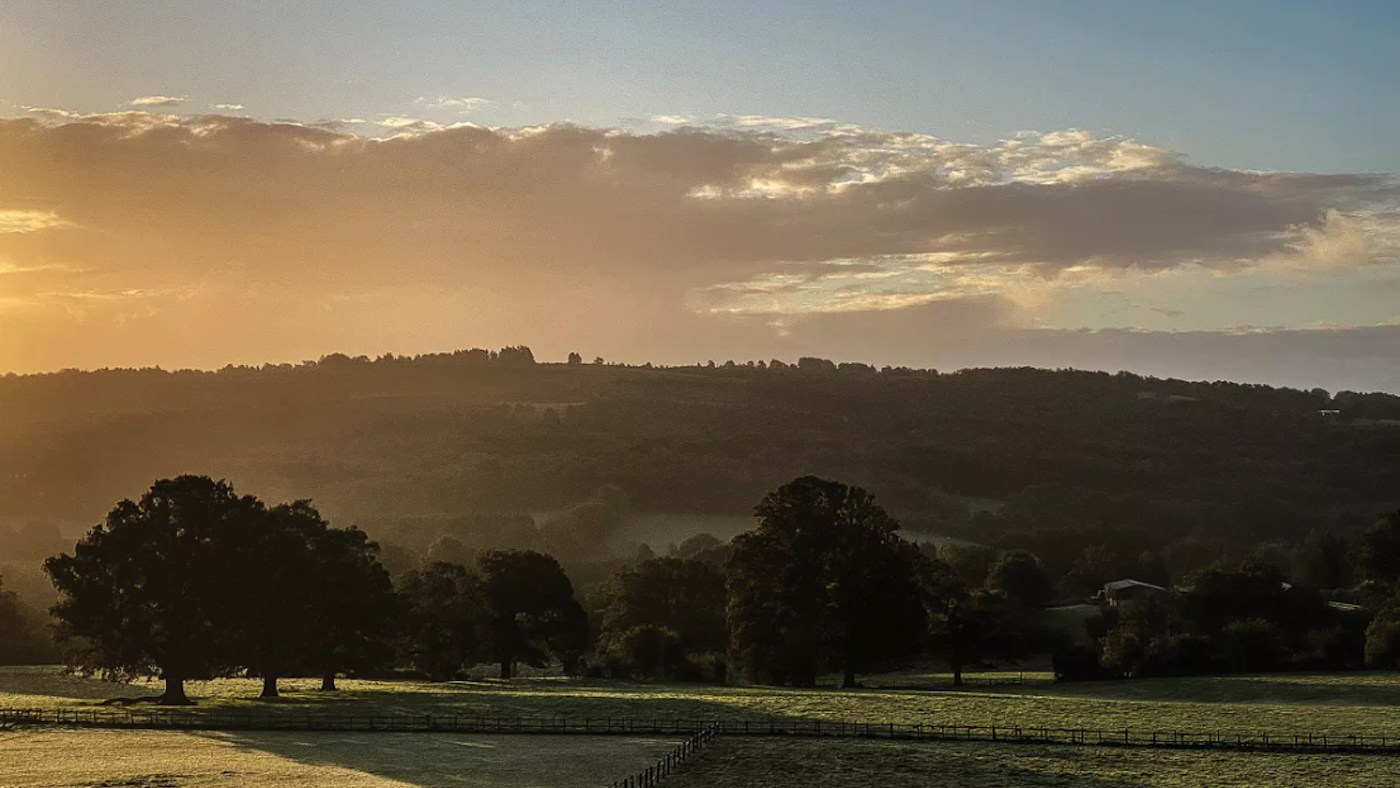 Views from The Terrace House Hartfield