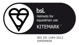 BSI-Logo