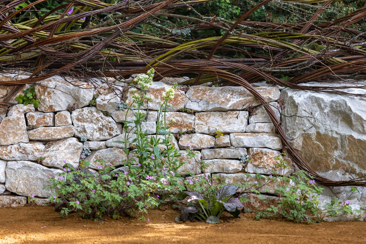 Images of the CPRE Show Garden On the Edge by Sarah Eberle. it focuses on grasses and flowers that grow around britain's edges, and is centred around a giant wooden carving of Gaia