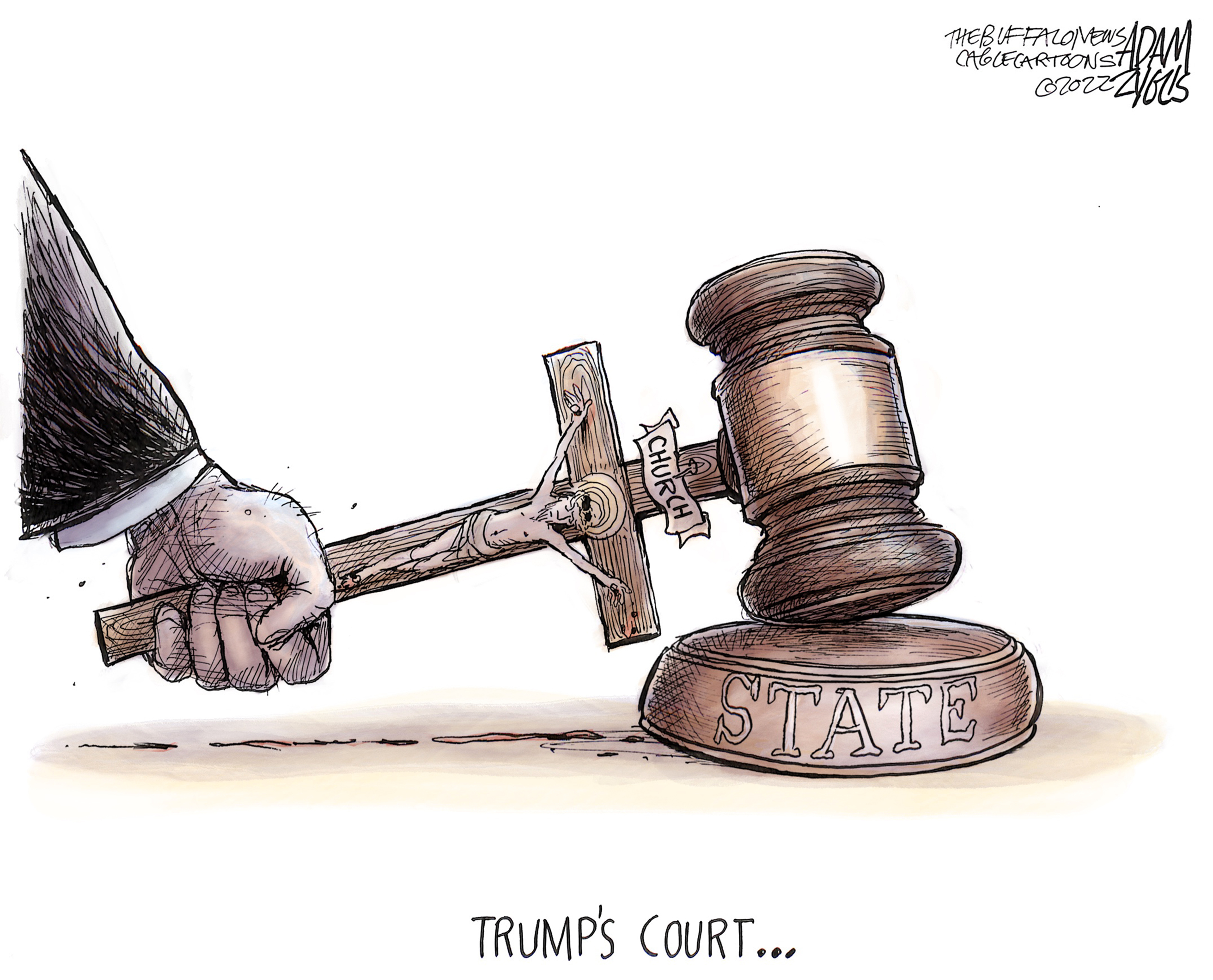 judicial review political cartoon