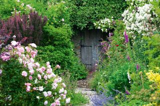 hidden gate with flowers in cottage style garden