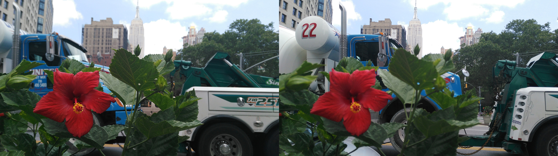 Left: Focused on Flower. Right: Focused on Building | Credit: Mike Prospero