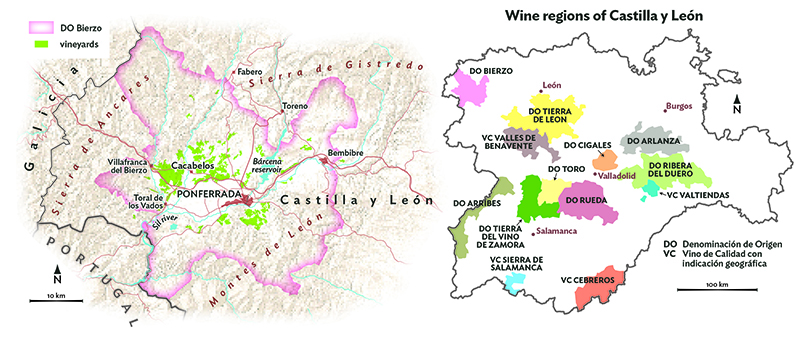 Bierzo_map_new-1.jpg