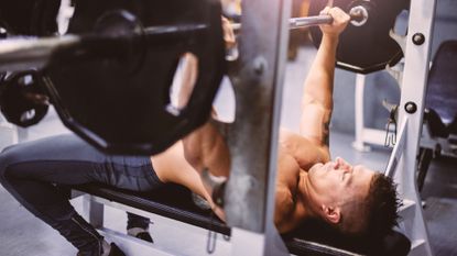 Best weight bench: Pictured here, a portrait image of young athlete in gym, during body building training for muscle definition. Series of images of young athlete during training in professional gym, lifting weights for biceps, pectorals and back muscles. 