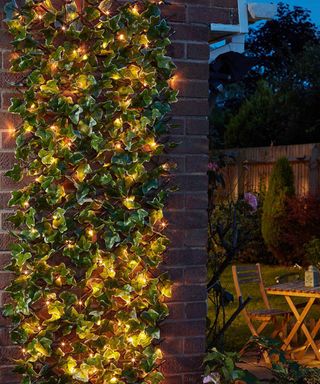 Smart garden solar light up ivy trellis by Robert Dyas