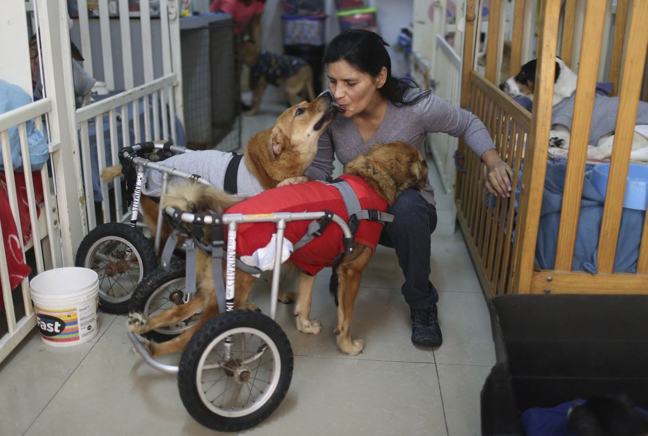 Sara Moran and two dogs in her shelter.