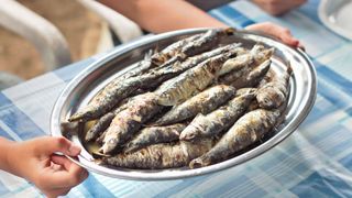 Grilled sardines on a plate