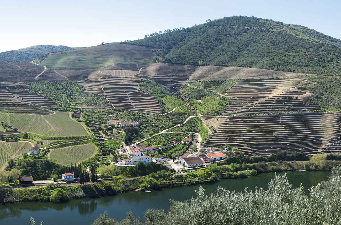 Single quinta vintage Port