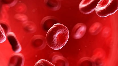 how to prevent blood clots, human blood cells