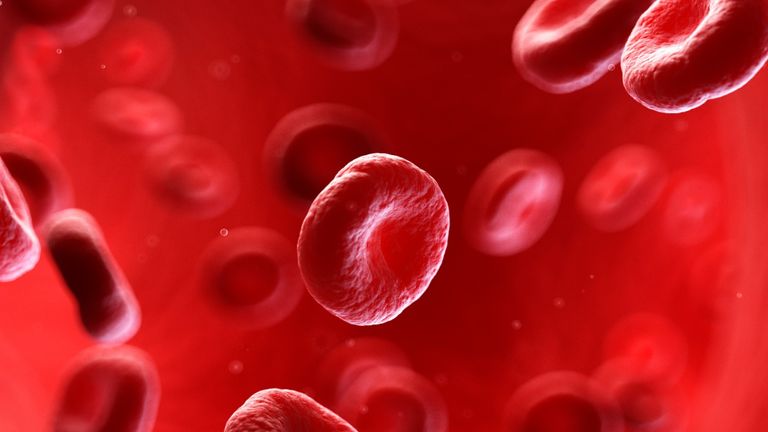 how to prevent blood clots, human blood cells
