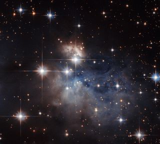 Emission-Line Star IRAS 12196-6300