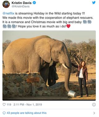 Kristin Davis elephant work on Twitter