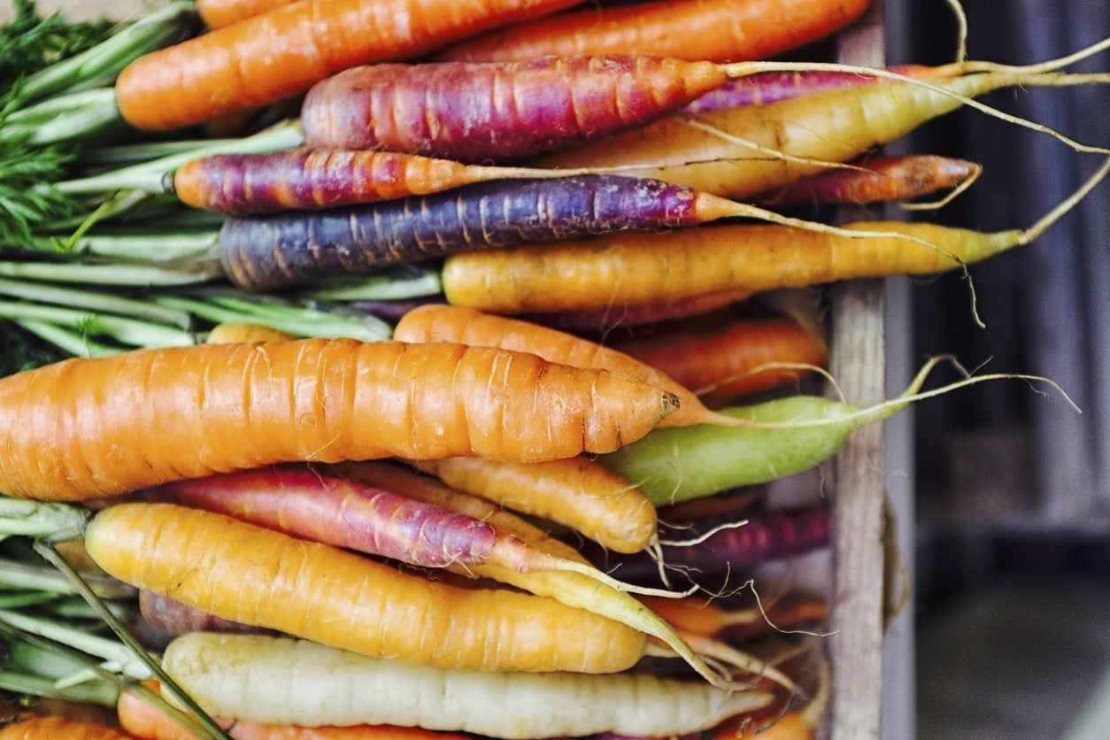 Crate Full Of Multicolored Carrots