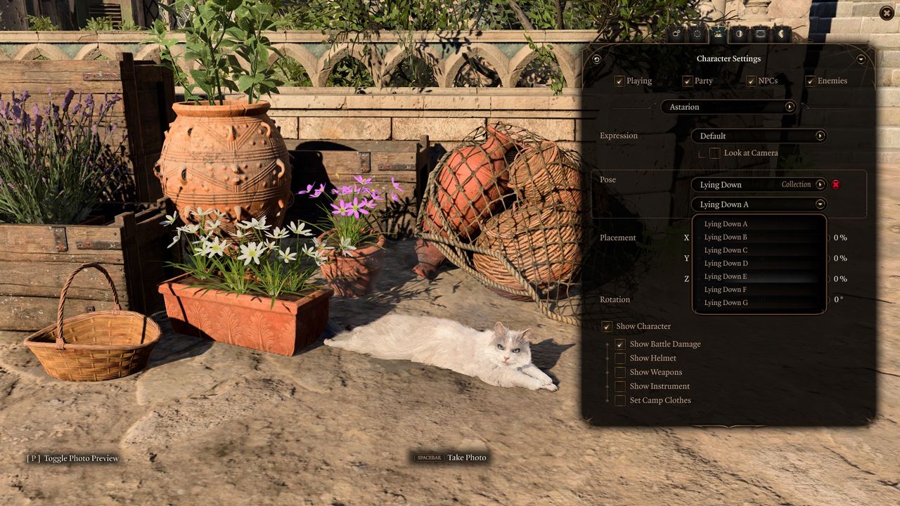 Assorted examples of the photo mode in Baldur's Gate 3, including sitting poses for cute animals, a waving ghoul, and dances.