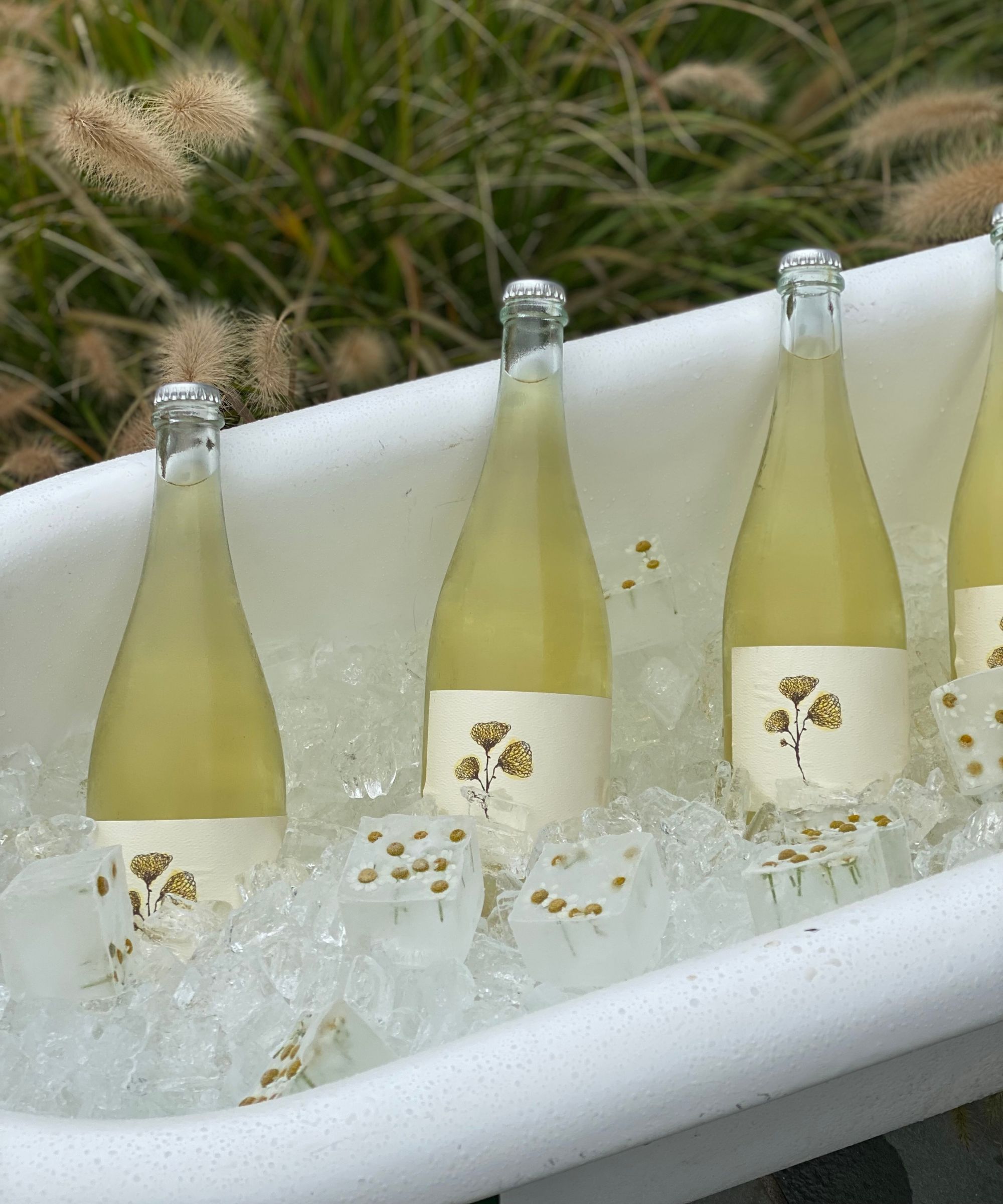 Bottles of white wine and ice cubes with flowers inside, in a white enamel bath container