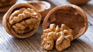 Two walnuts in their shells