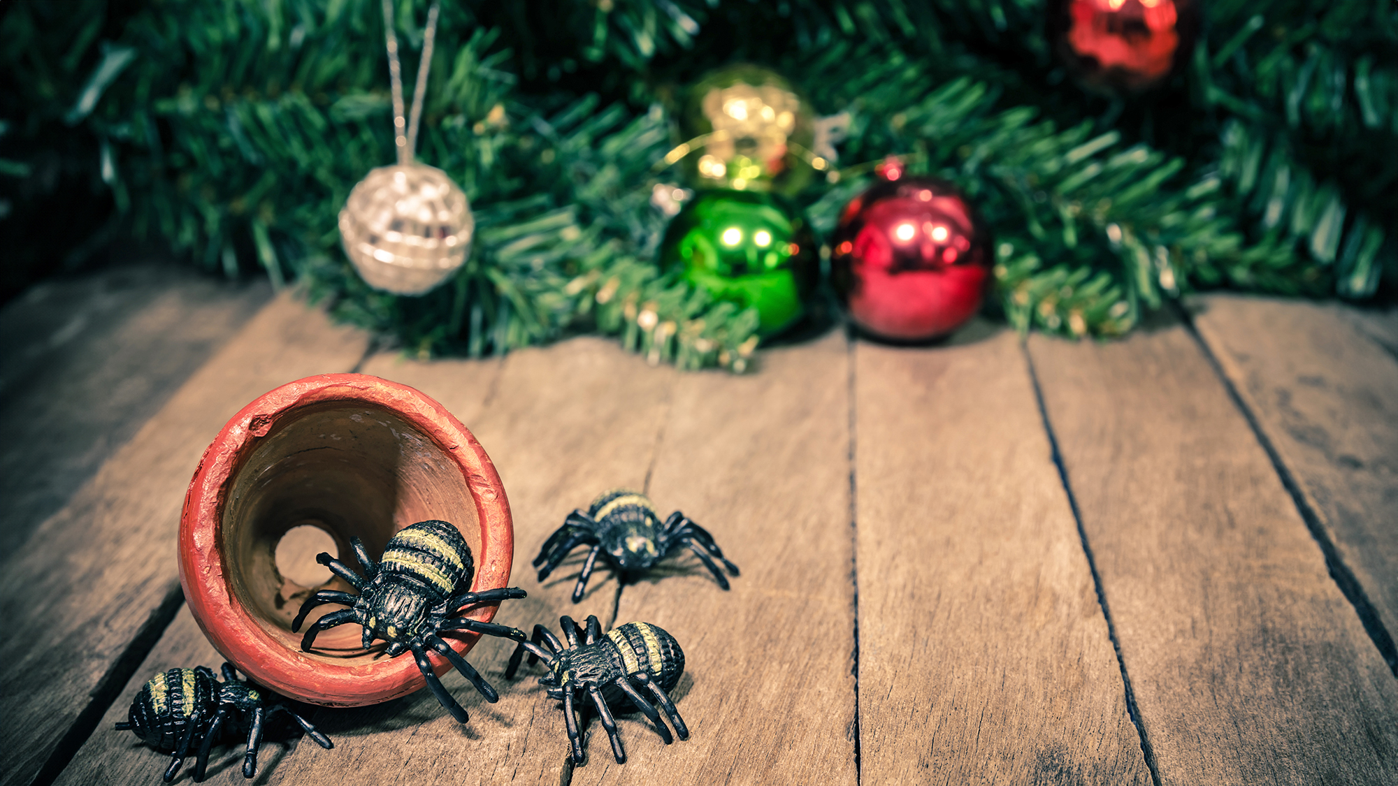 Plastic spiders in orange pot with Christmas tree and baubles in background